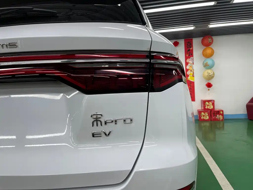 BYD Pro New Energy — миниатюра 27