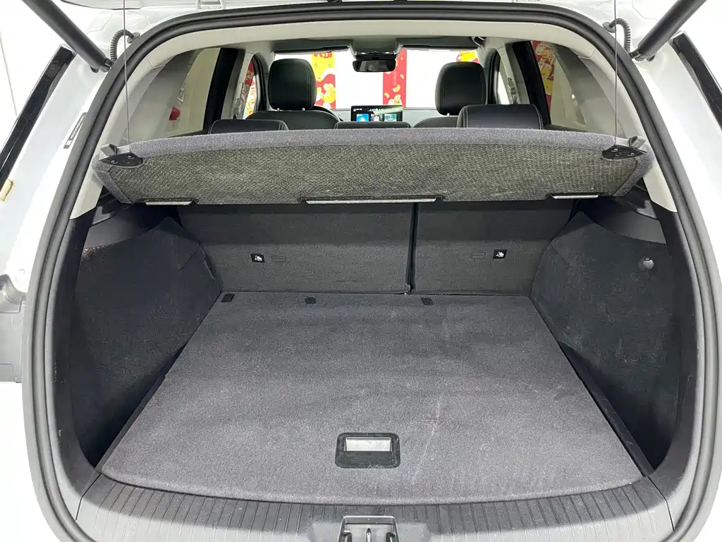 BYD Pro New Energy — миниатюра 24