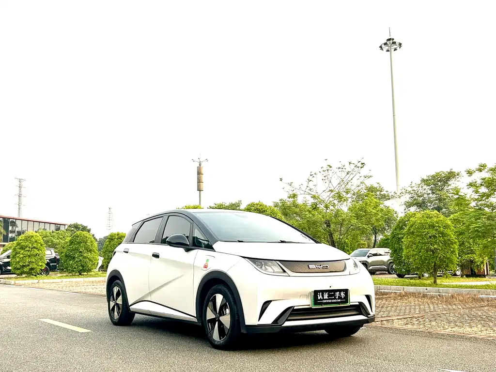 BYD Dolphin — миниатюра 4