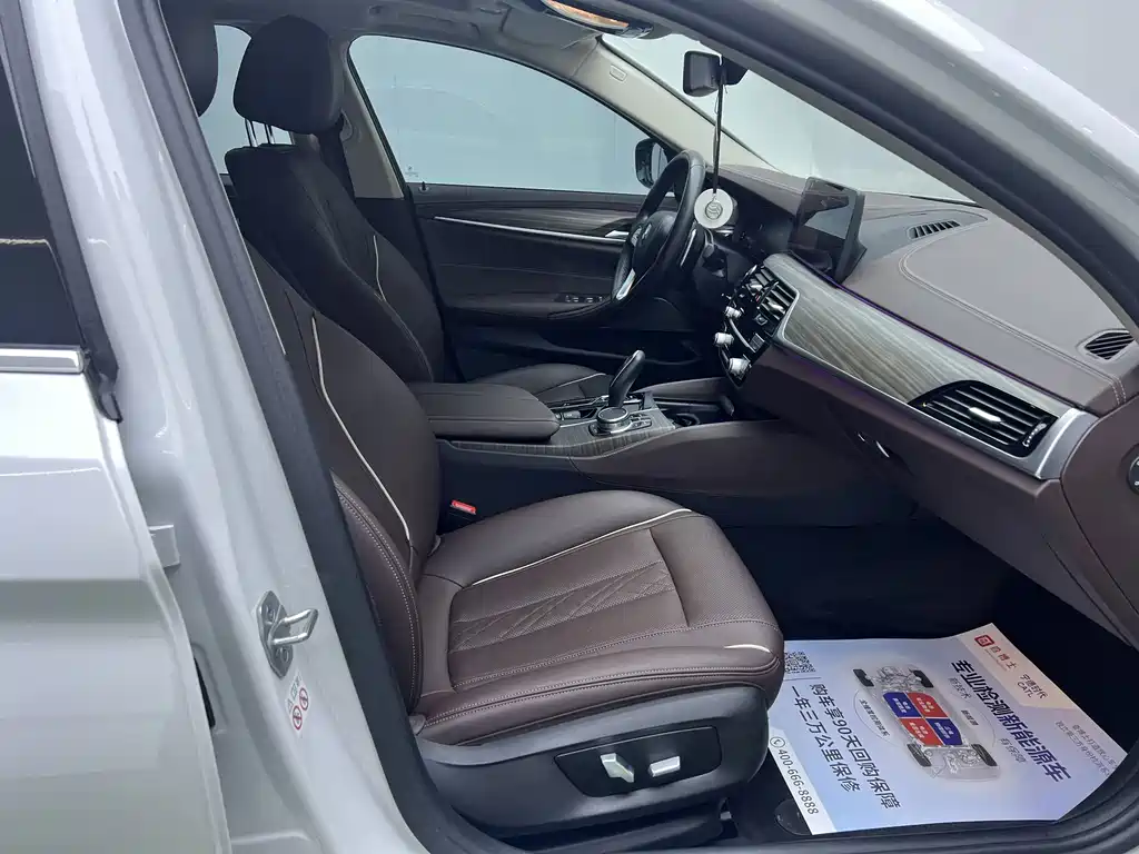BMW 5 Series Facelift 530Li xDrive Luxury Package, фото 25