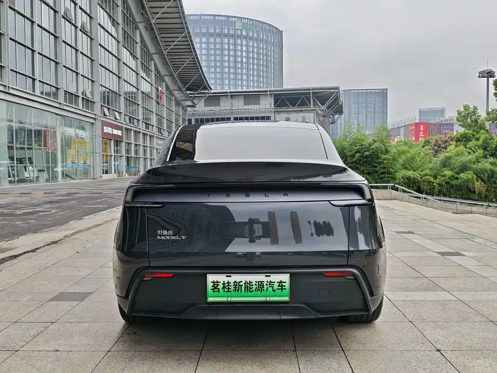 Tesla Model Y — миниатюра 6