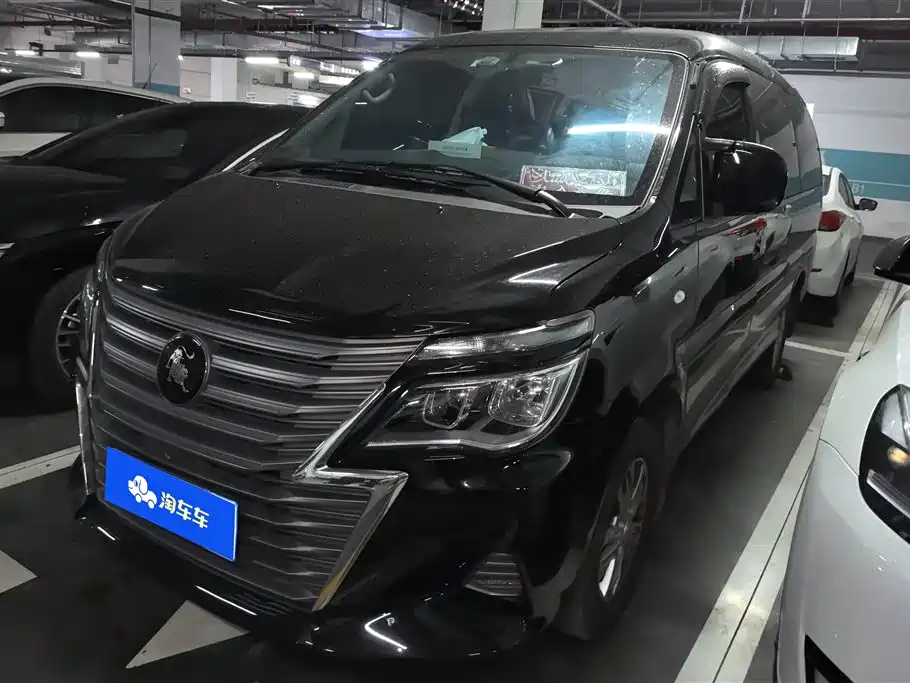 Fengxing Lingzhi 2023