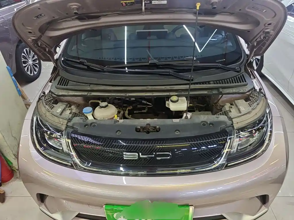 BYD Dolphin — миниатюра 20