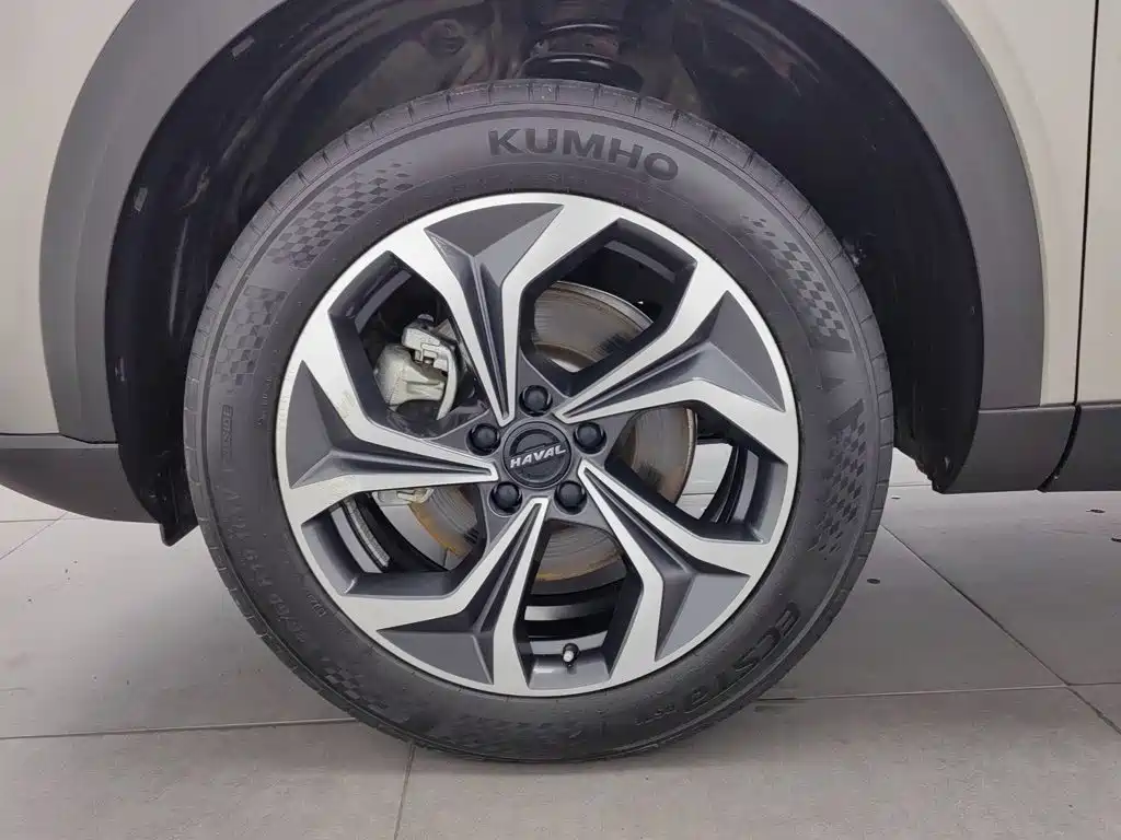 Haval Shenshou — миниатюра 17