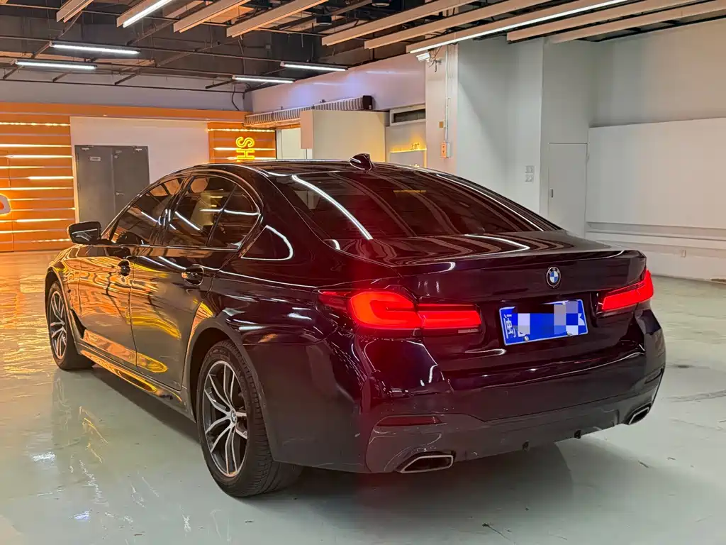 BMW 5 Series (Import) — миниатюра 6