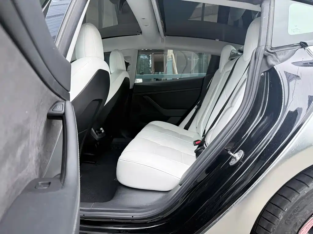 Tesla Model 3 — миниатюра 5
