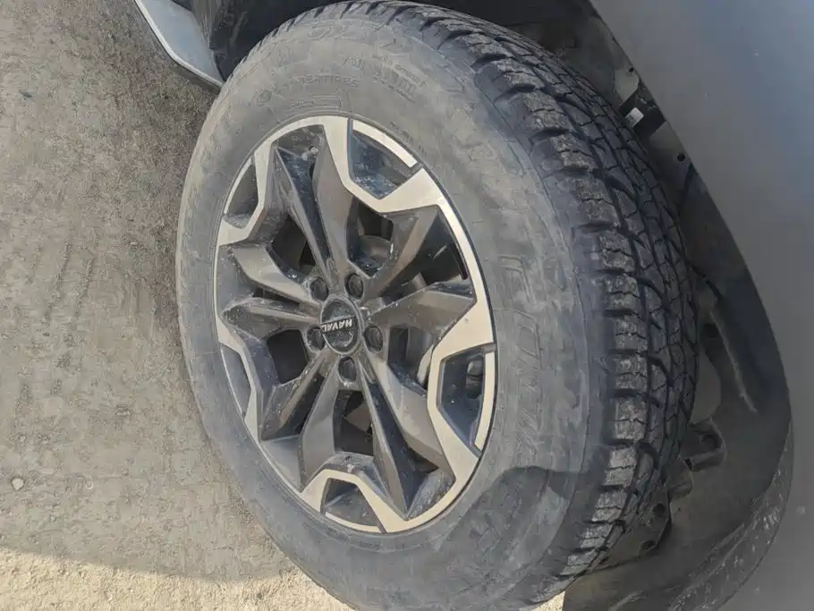 Haval Big Dog — миниатюра 6