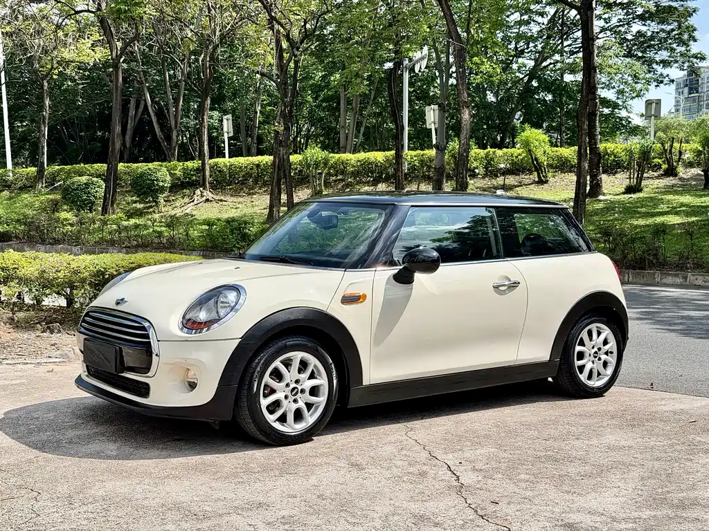Mini Mini 2015