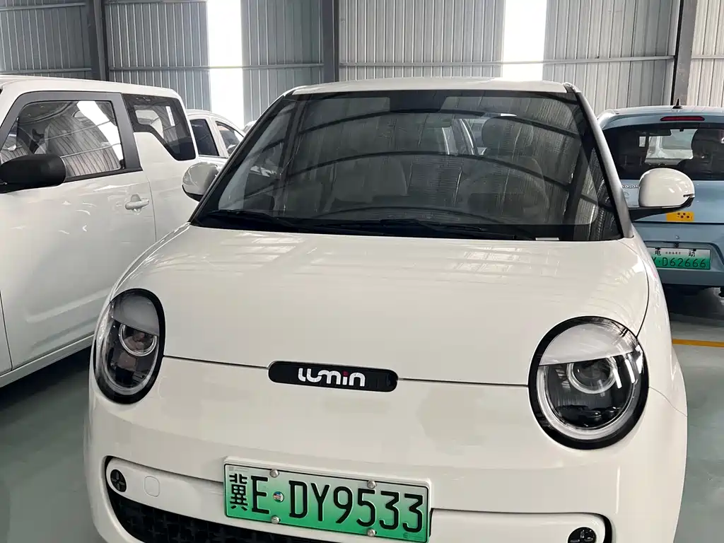 Qiyuan Lumin 2025