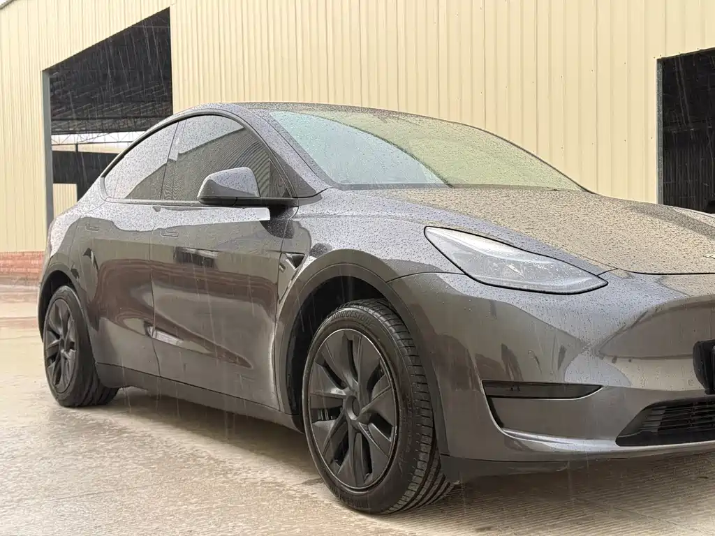Tesla Model Y — миниатюра 9