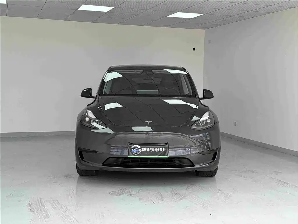 Tesla Model Y — миниатюра 2