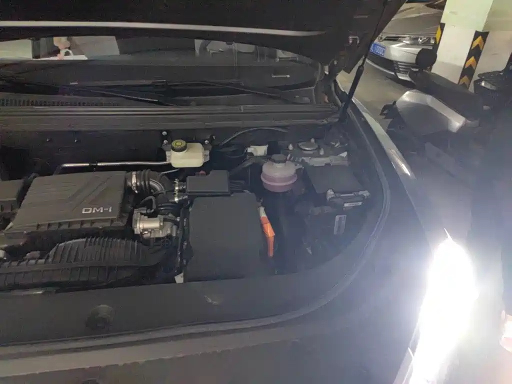 BYD Pro New Energy — миниатюра 21