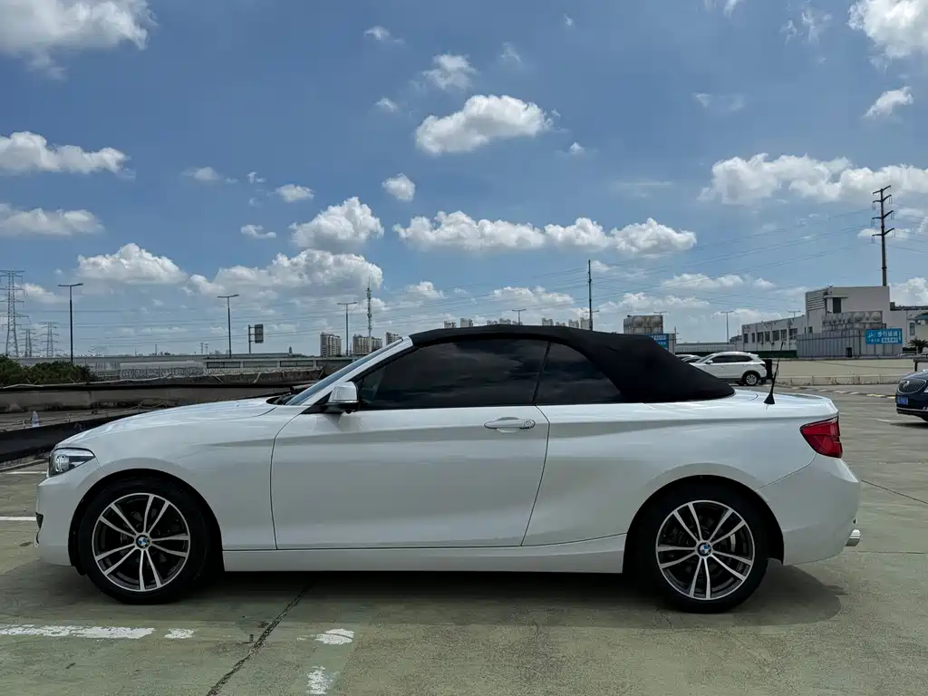 BMW 2 Series (Import) 220i Convertible Coupe Sport Design Package, фото 9