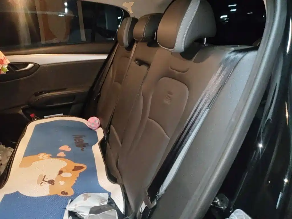Qoros Qoros 7 — миниатюра 13