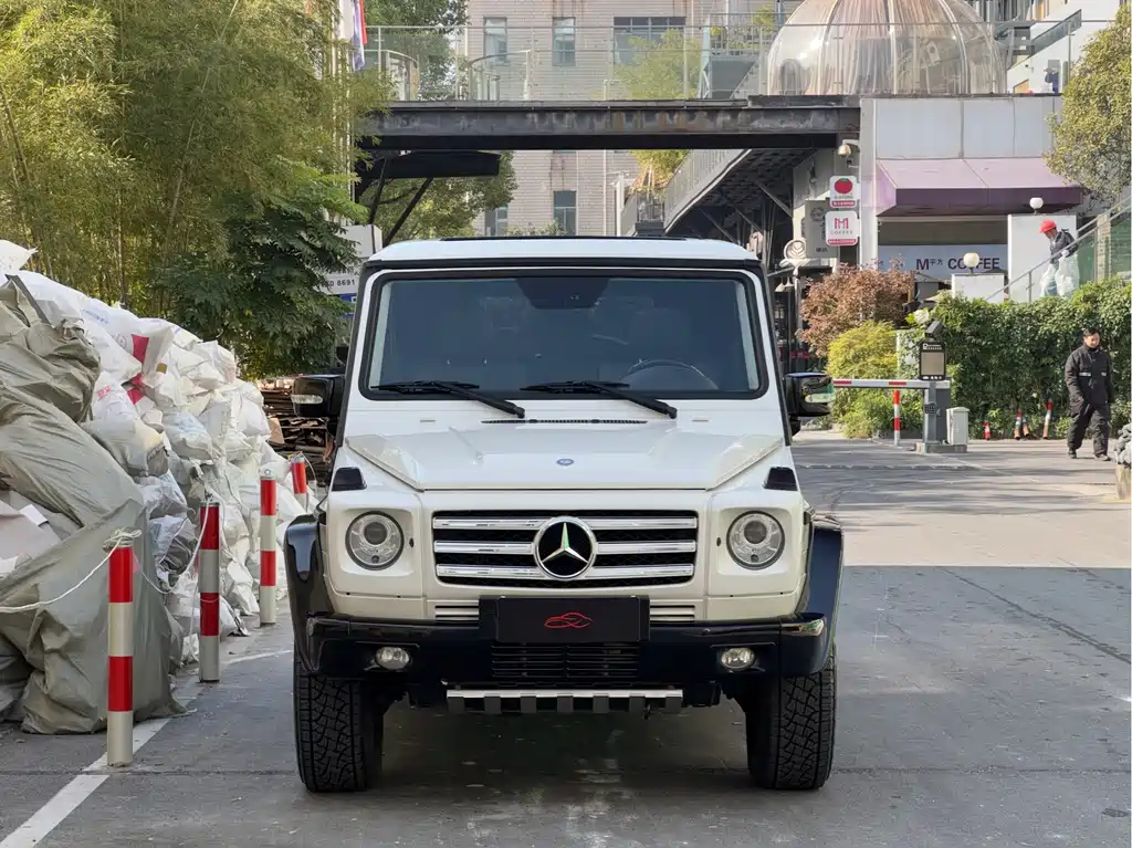 Mercedes-Benz G-Class G 2010 G 500