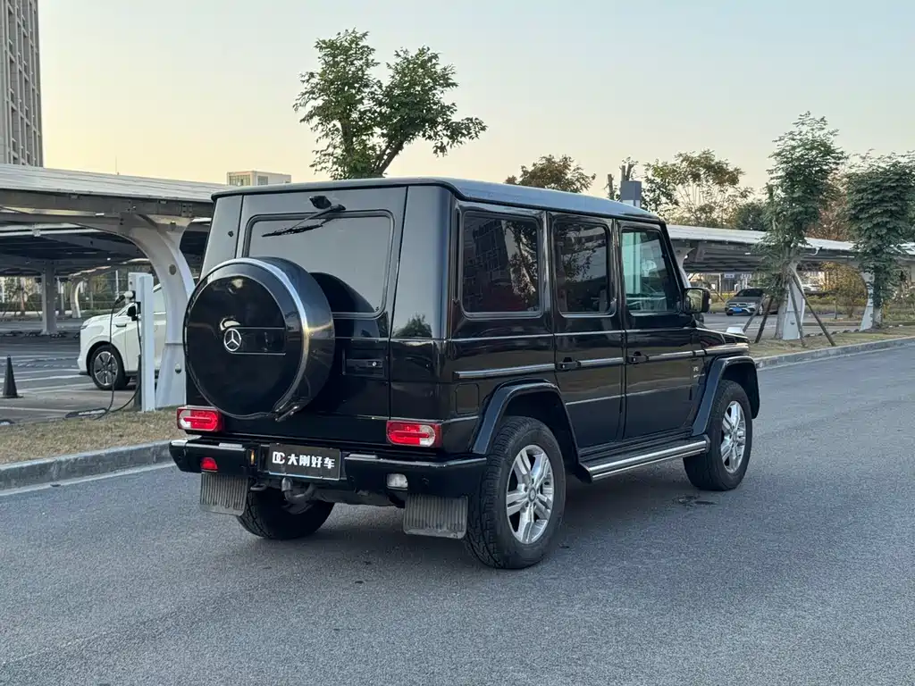 Mercedes-Benz G-Class G 2010 G 500