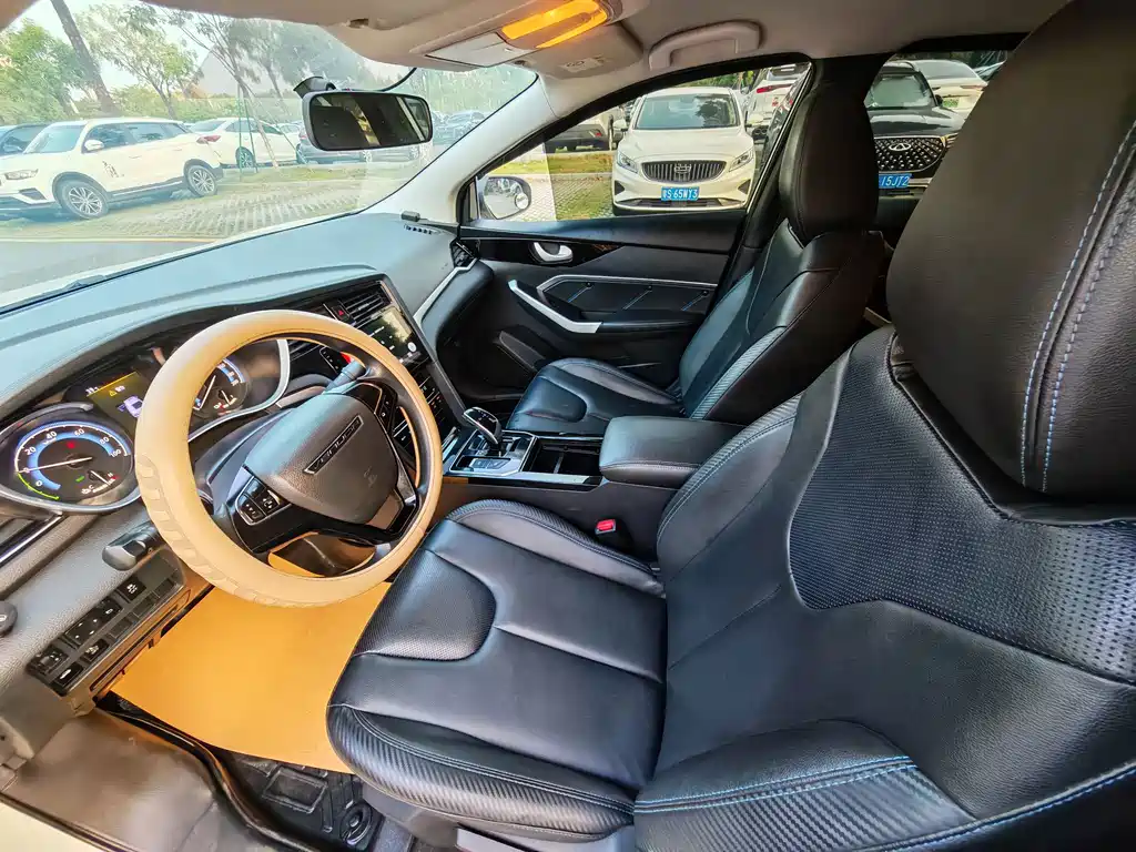 Venucia D60 EV — миниатюра 8