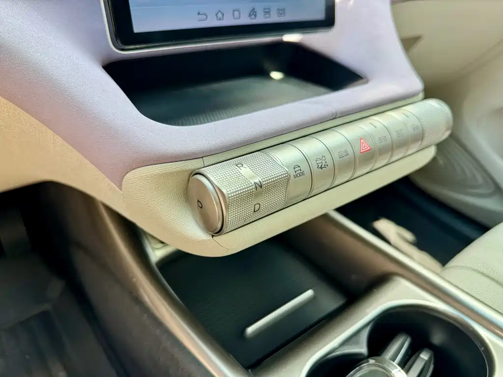 BYD Dolphin 2024 420km Fashion
