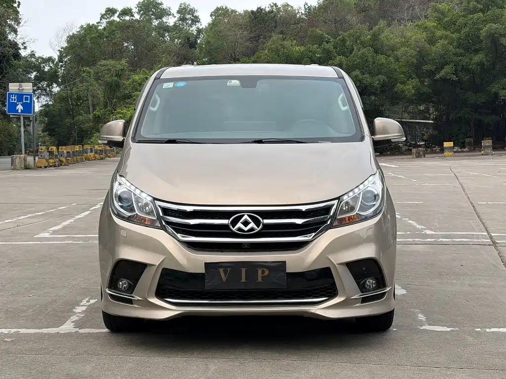Maxus G10 2.0T Auto Executive Edition, фото 3