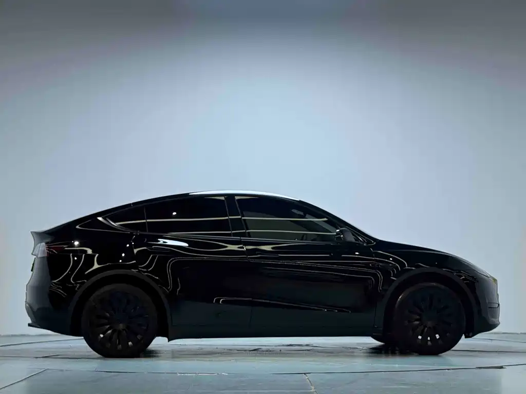 Tesla Model Y — миниатюра 12