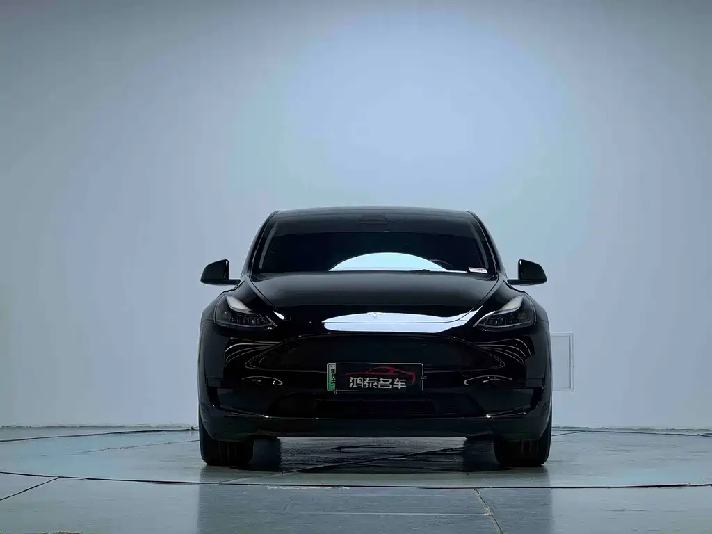 Tesla Model Y — миниатюра 3