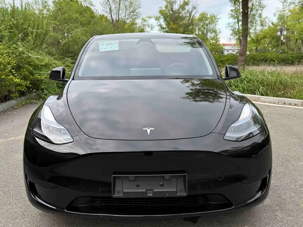 Tesla Model Y — миниатюра 2