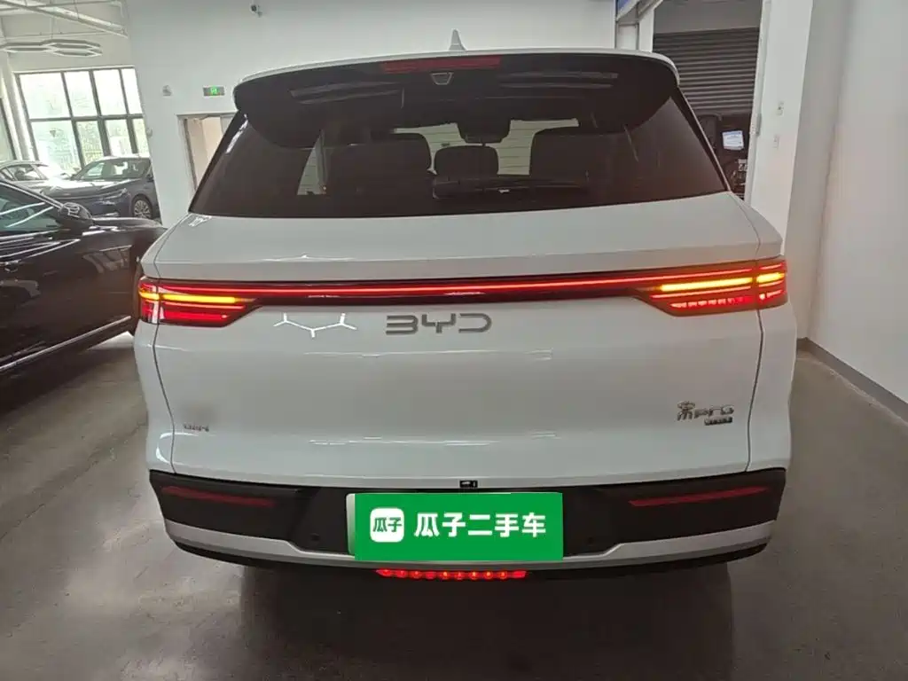 BYD Pro New Energy — миниатюра 6