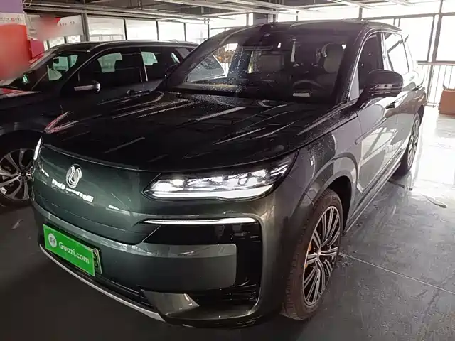 2025 Denza N9