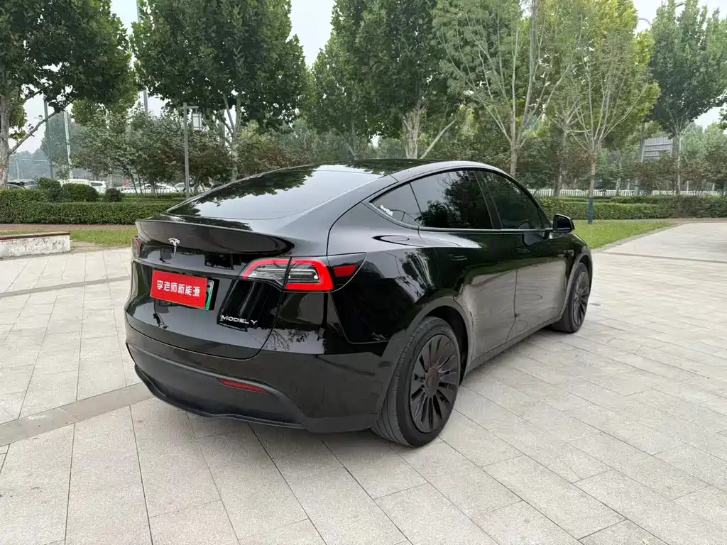 Tesla Model Y — миниатюра 8