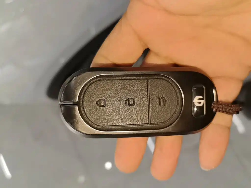 Leapmotor Leapmotor C11 — миниатюра 9