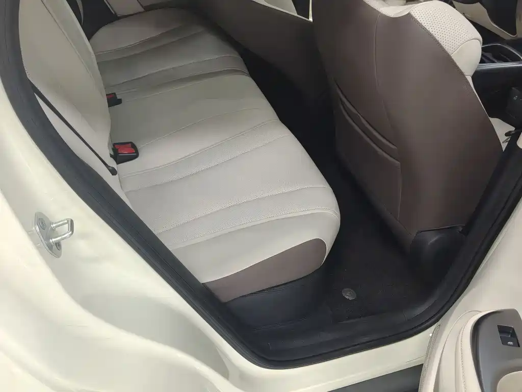 BYD Dolphin 2025 Smart Drive 410km Fashion