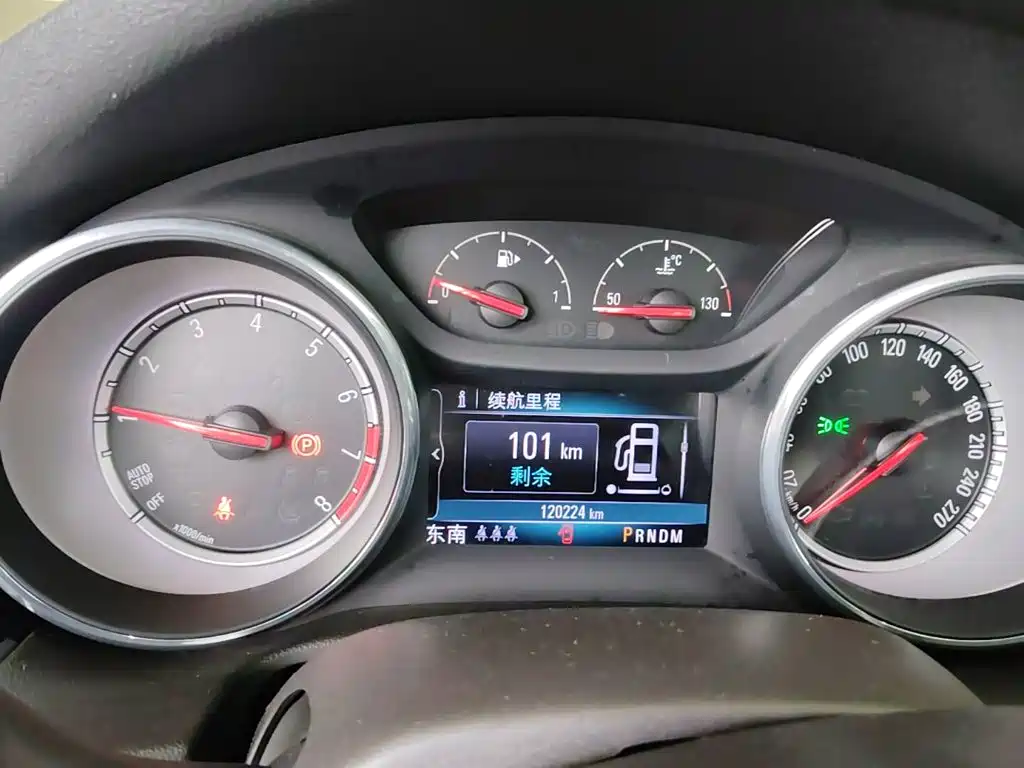 Buick Regal — миниатюра 12