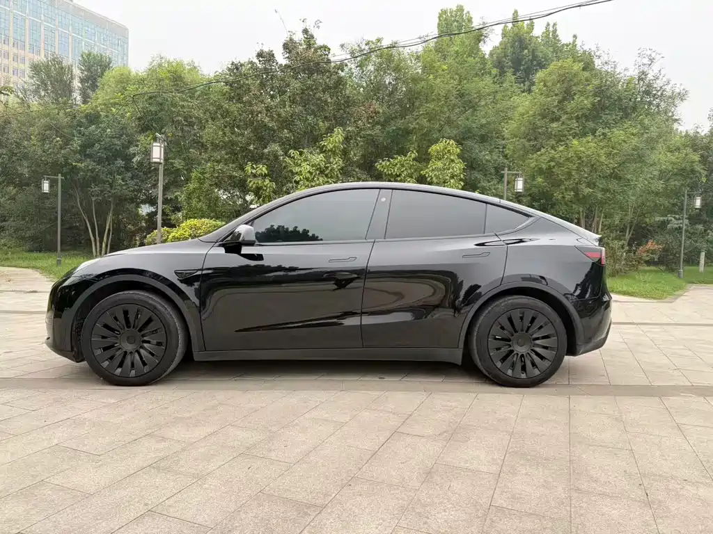 Tesla Model Y — миниатюра 5