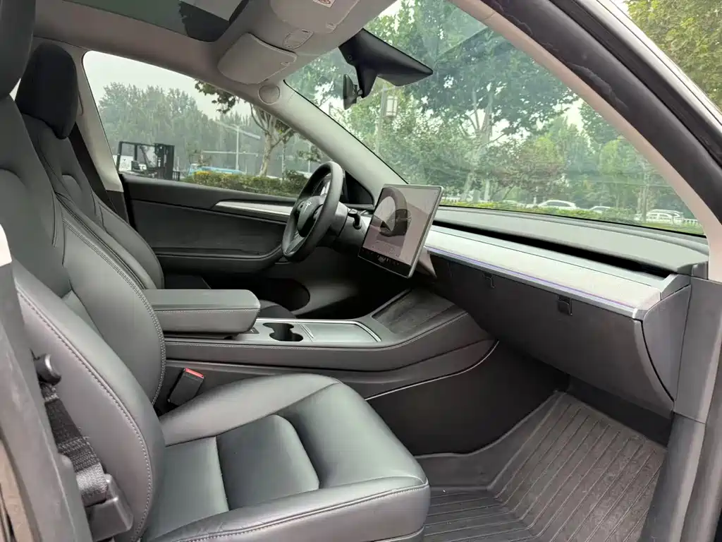 Tesla Model Y — миниатюра 10