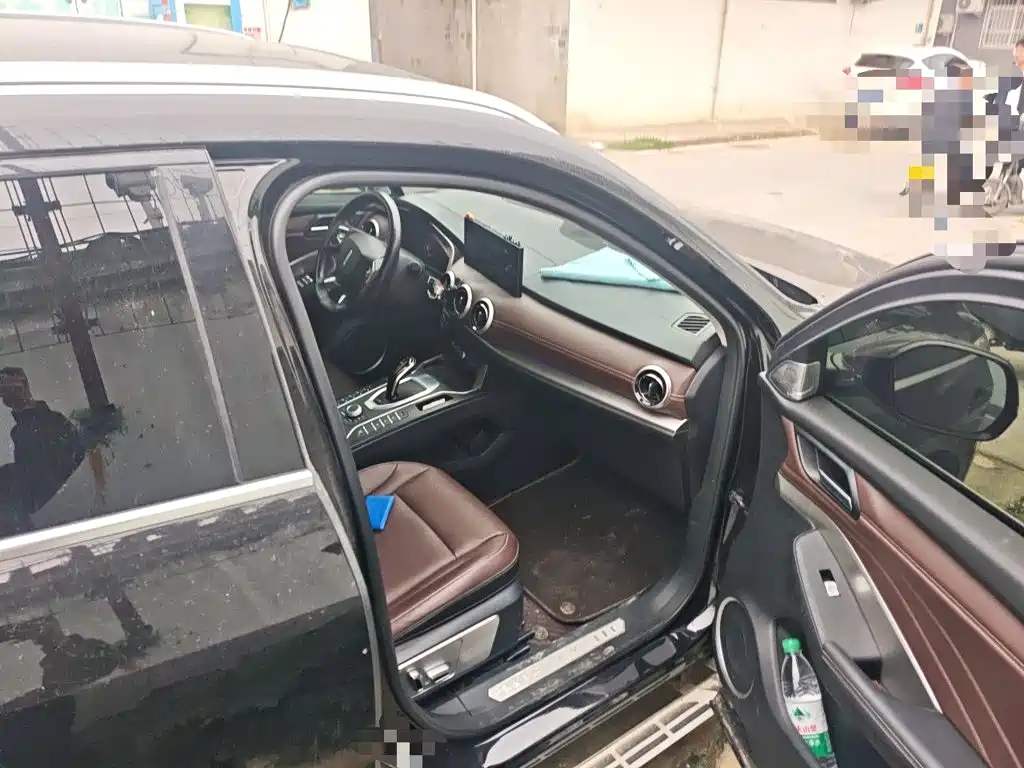 Wey Wey VV6 — миниатюра 19
