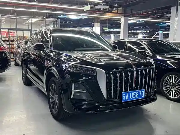 2024 Hongqi HS5
