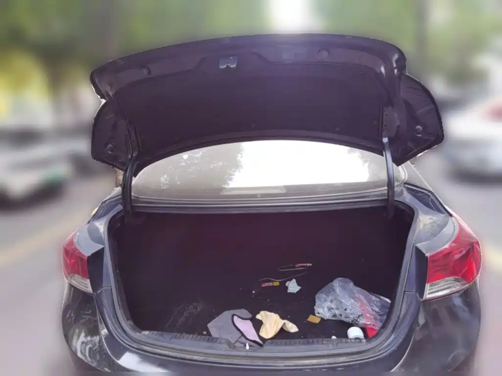 Hyundai Elantra Langdong — миниатюра 20