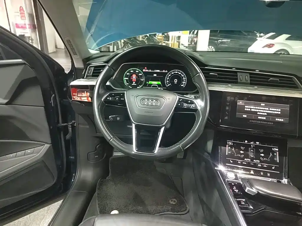 Audi e-tron (Import) — миниатюра 11