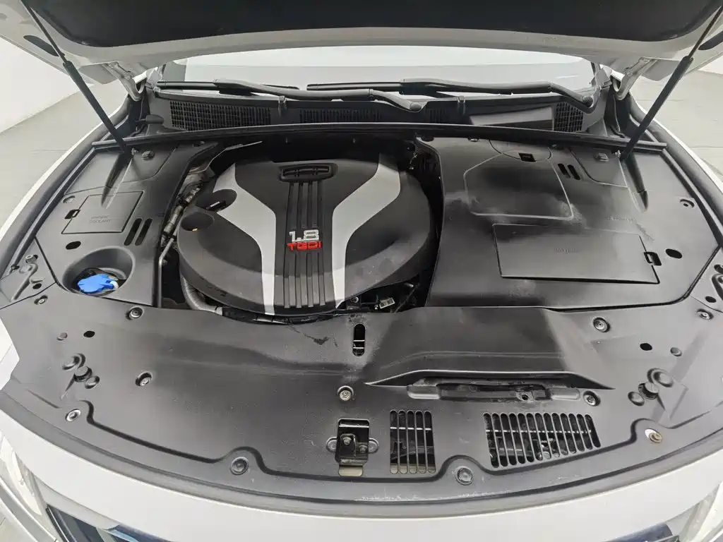 Geely Borui — миниатюра 6
