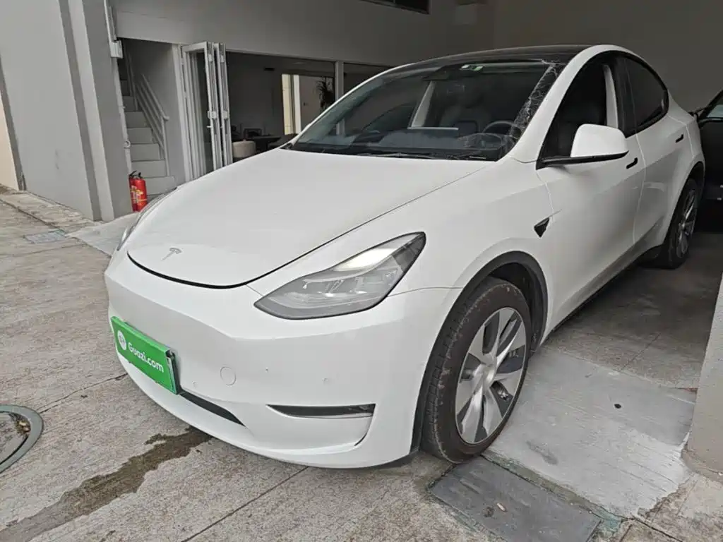 Tesla Model Y — миниатюра 2