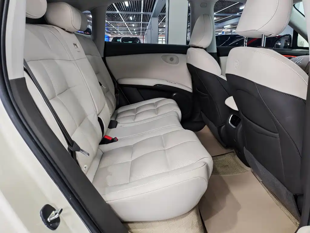 ZHIJI AUTOMOBILE ZHIJI LS6