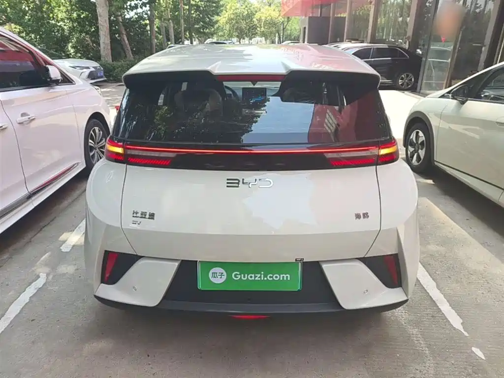 BYD Seagull 2025 Smart Drive 305km