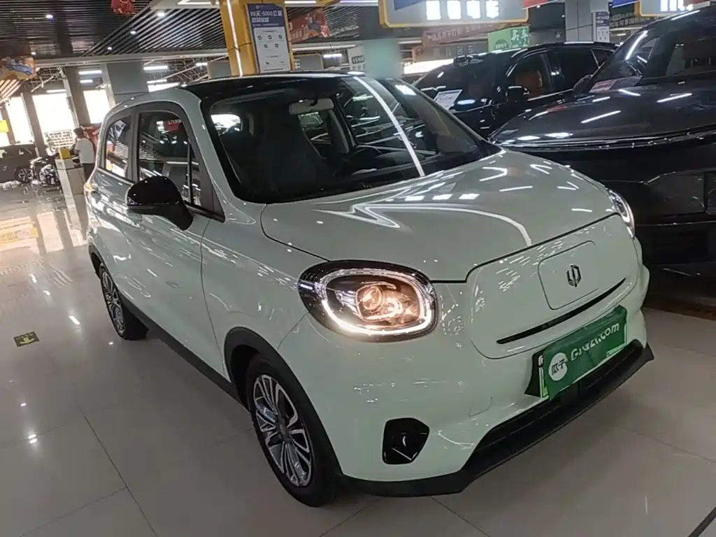 Leapmotor T03 2024 403