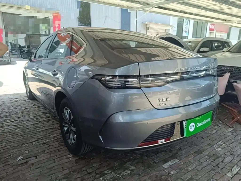 BYD Destroyer 05 2023 Champion DM-i 55KM Luxury