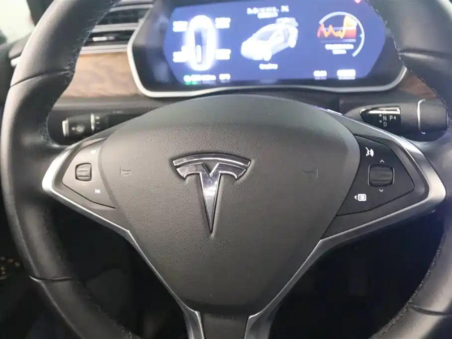 Tesla Model X 2017 Model X 100D