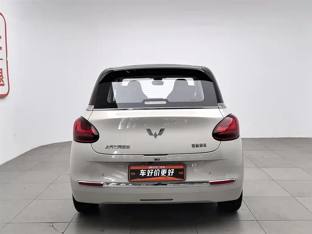 Wuling Binguo 2023 333km Enjoy +