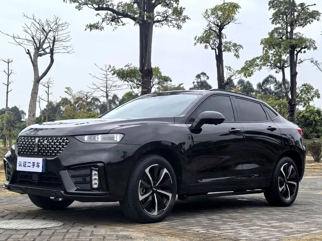 WEI PAI WEI BRAND VV7 GT