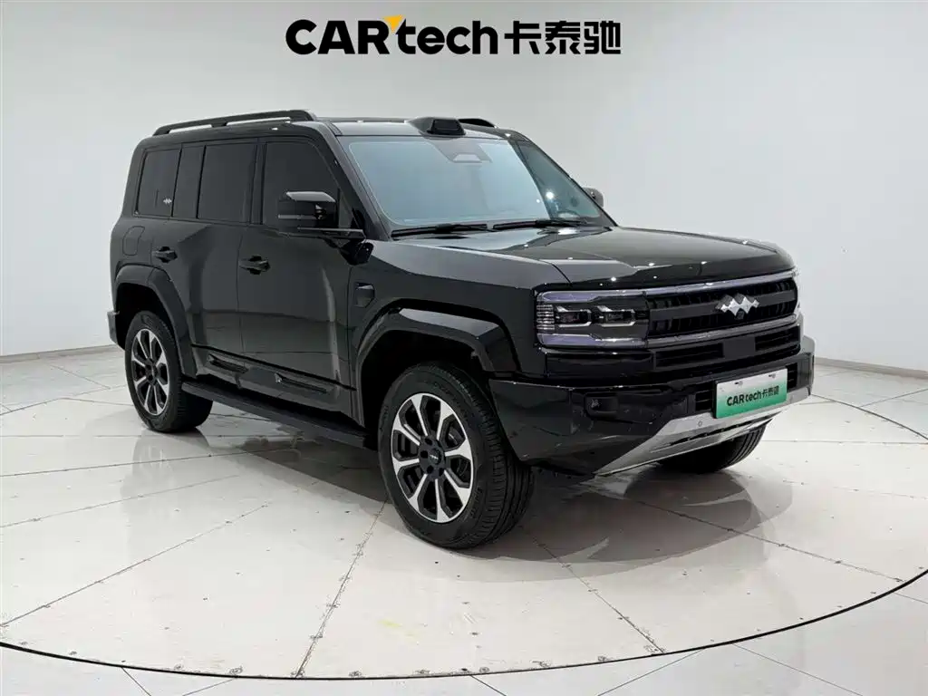 FANG CHENG BAO LEOPARD 5