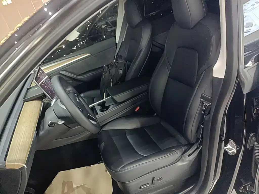 Tesla Model Y — миниатюра 15