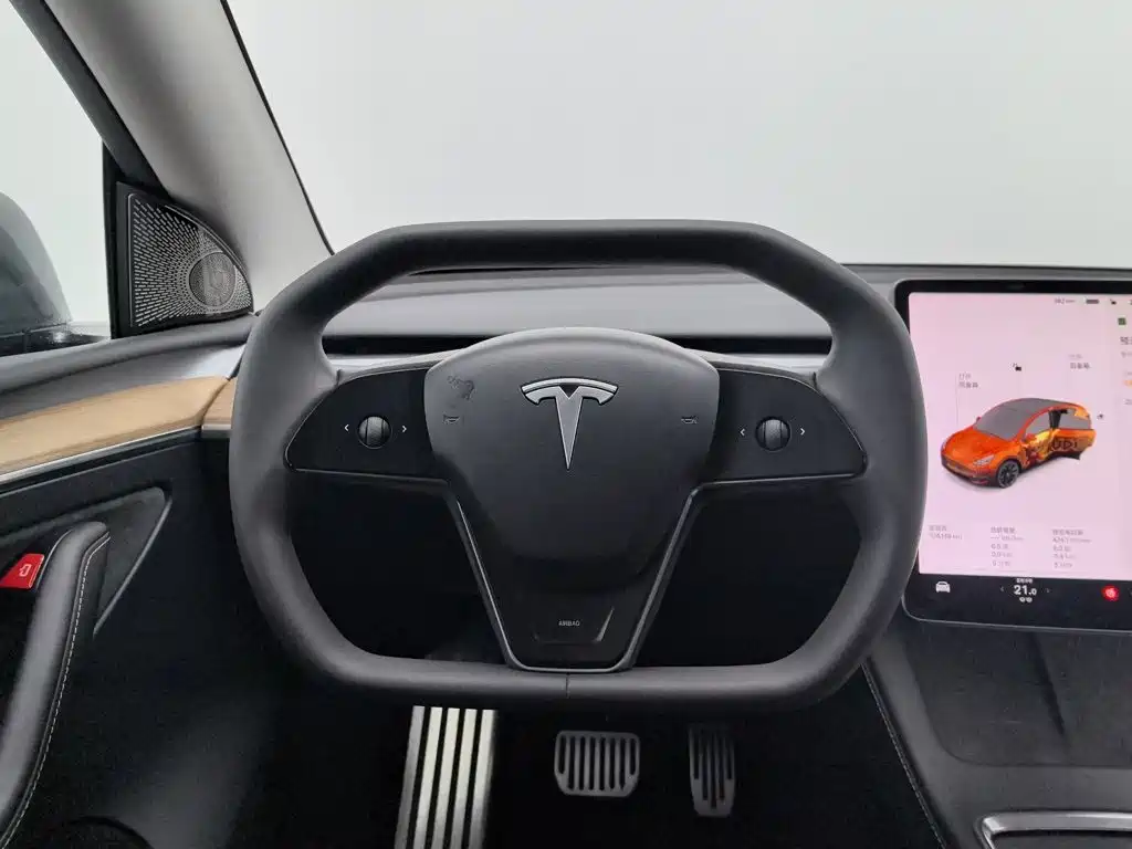 Tesla Model Y — миниатюра 11